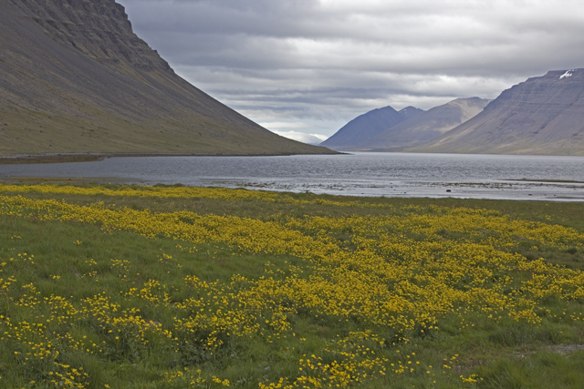 2011-06-29_12-14-34 island.jpg - Borgarfjrdur